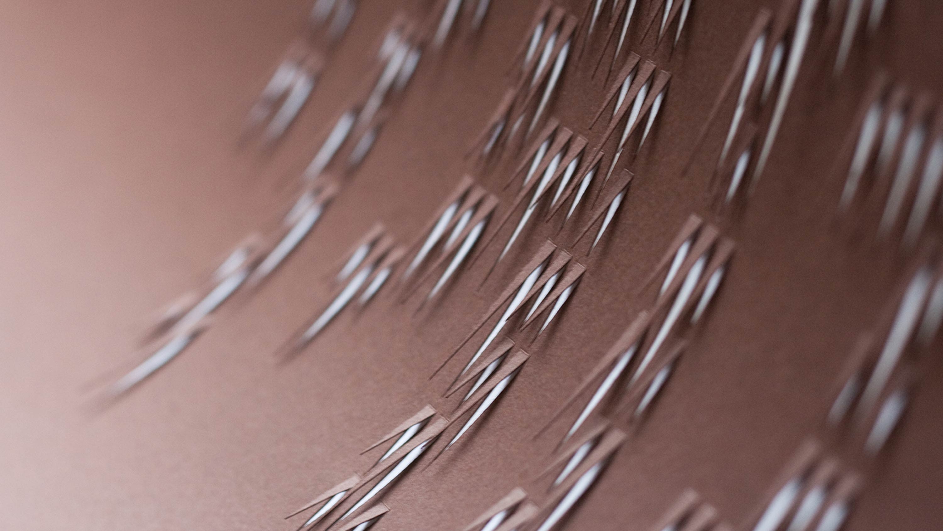 榴莲 / 椰子 / 黄梨