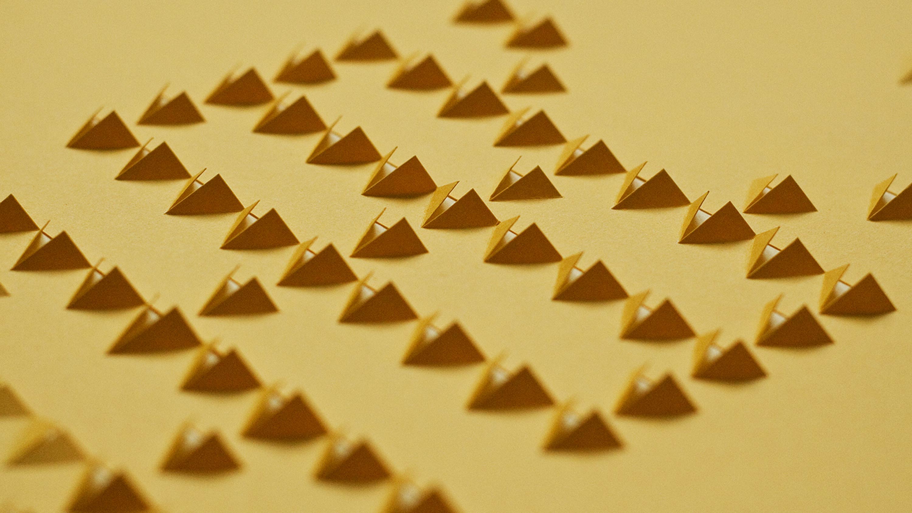 榴莲 / 椰子 / 黄梨