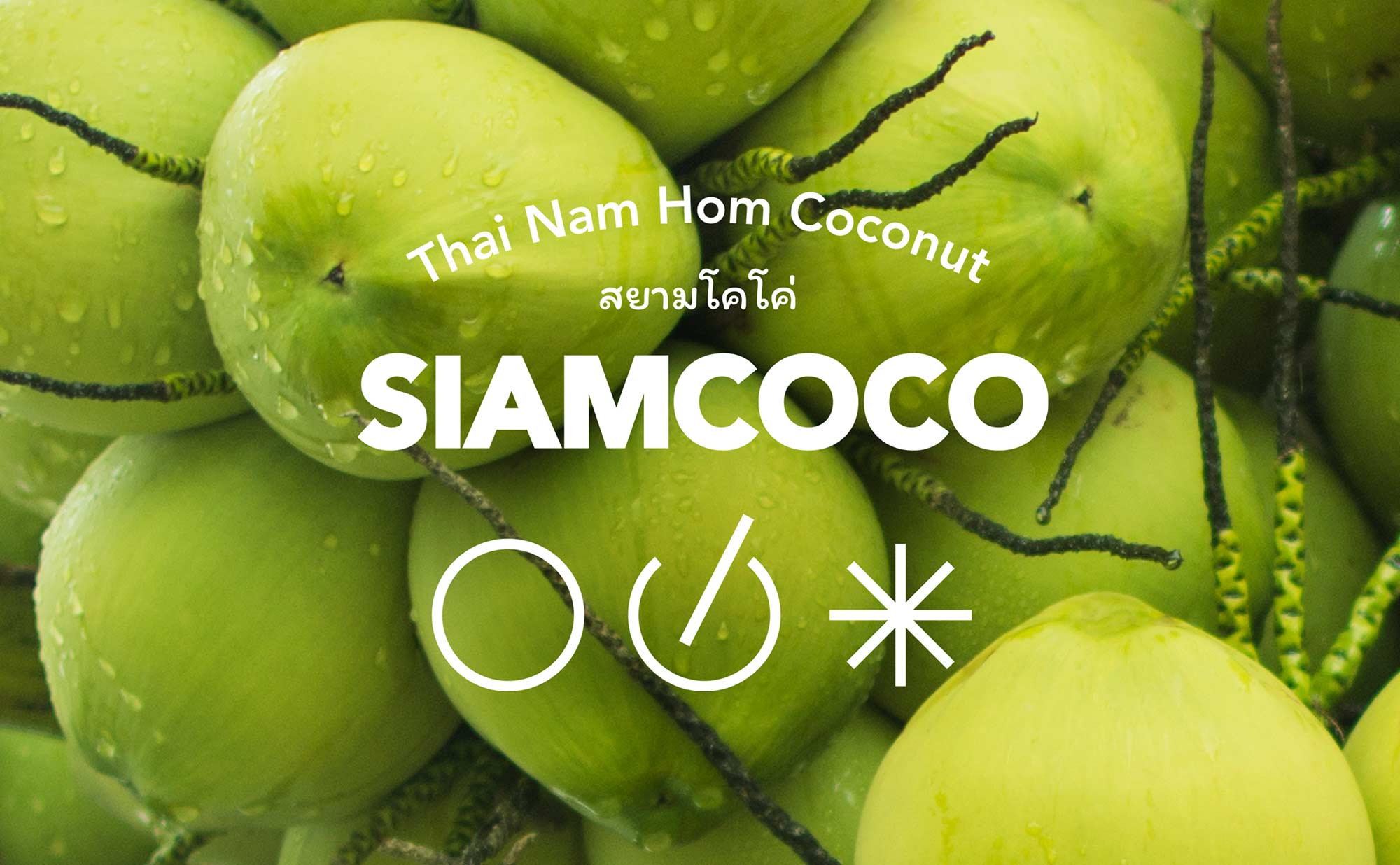 Siam Coco