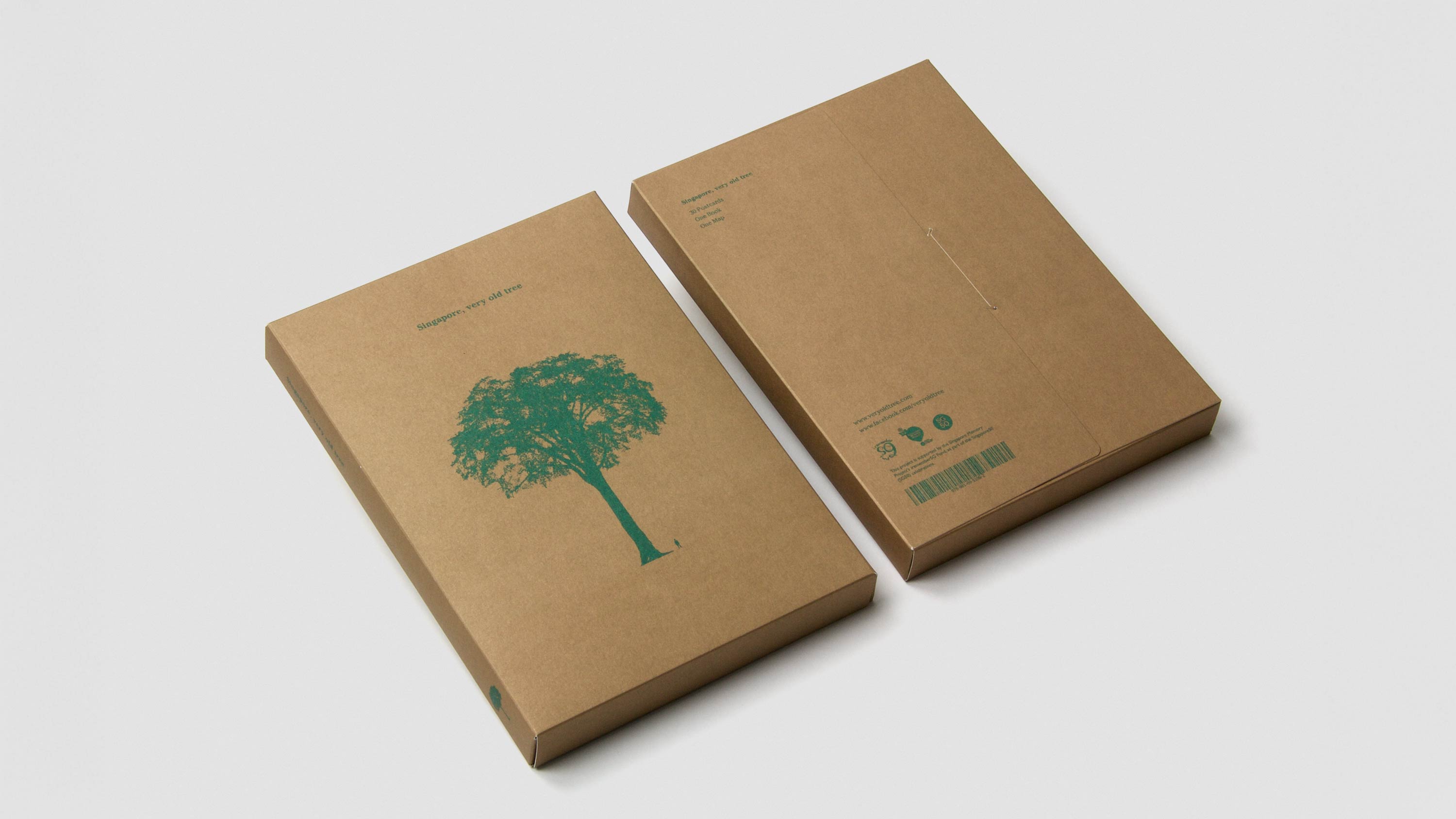 Singapore, very old tree