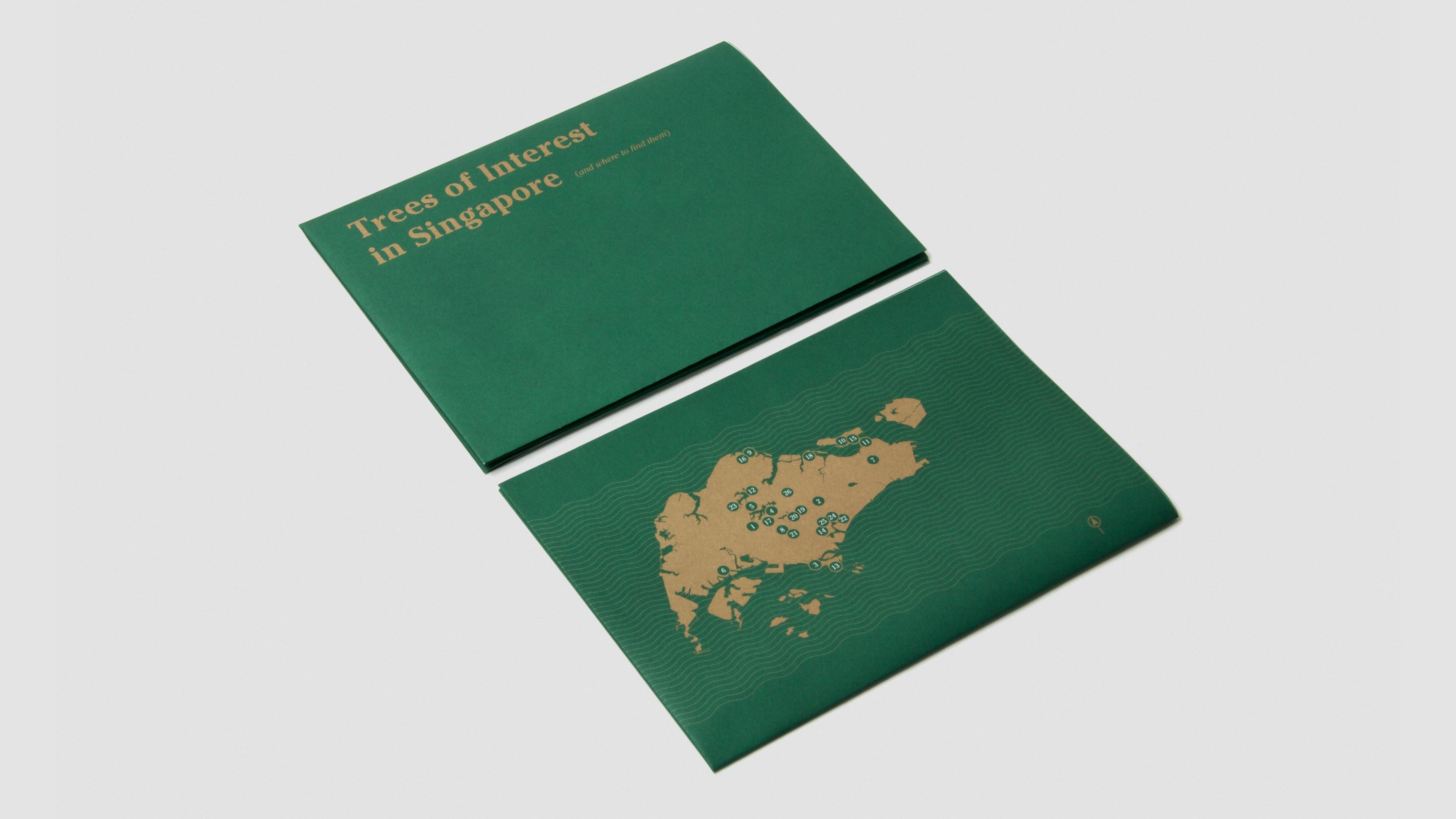 Singapore, very old tree