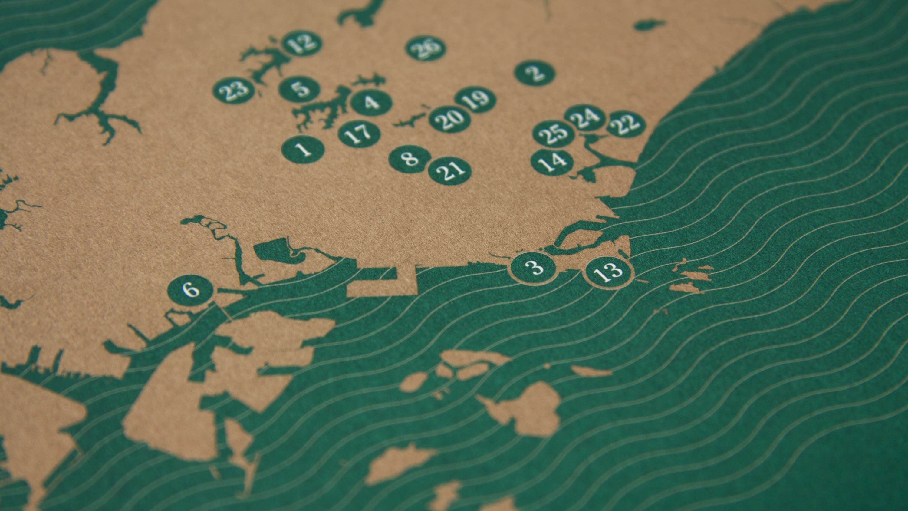 Singapore, very old tree