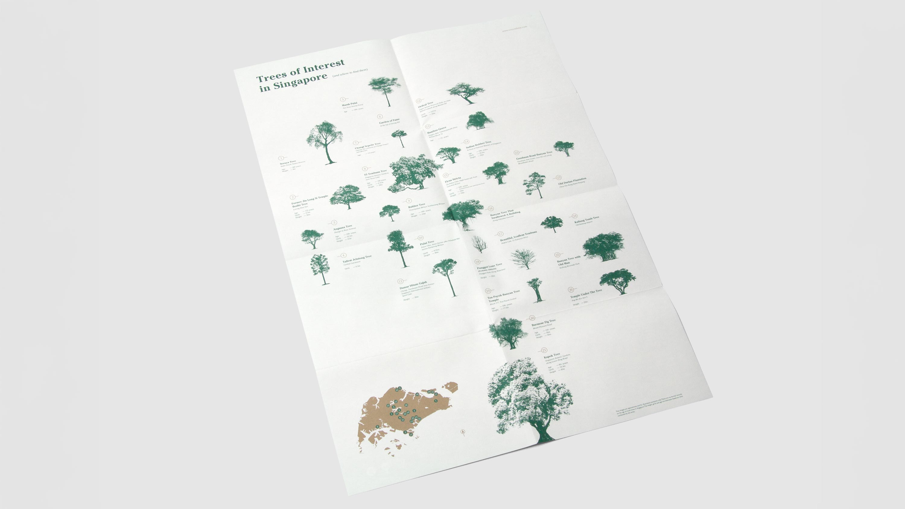 Singapore, very old tree